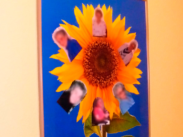 Bild aus der WG Sonnenblume
